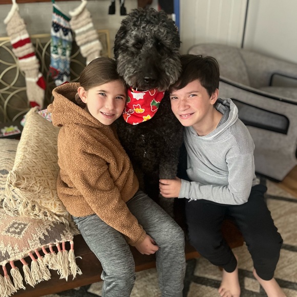 Meet your Posher, Lauren - Picture 3 of 3